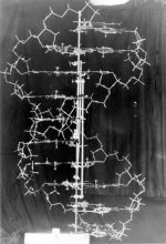 The original DNA demonstration model, designed by James Watson and Francis Crick.