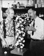Linus Pauling and Robert Corey examining models of protein structure molecules.