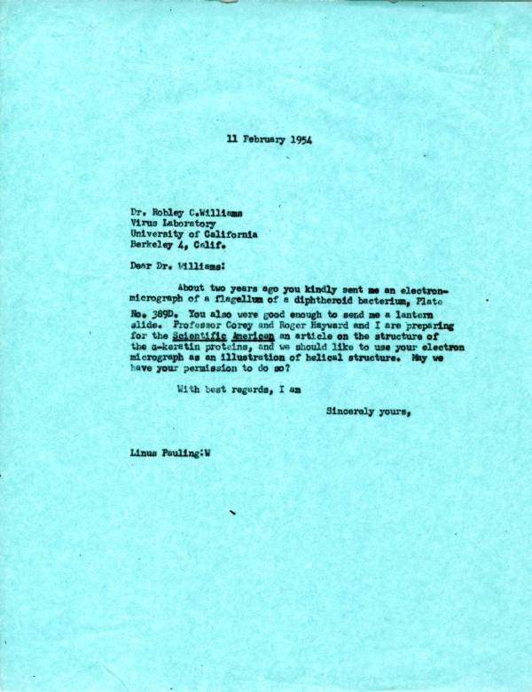 Letter from Linus Pauling to Robley C. Williams. Page 1. February 11, 1954