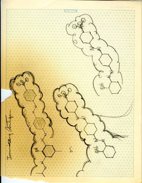 "The Serological Properties of Simple Substances. IX. Hapten Inhibition by Polyhaptenic Simple Substances." Page 1. 1945