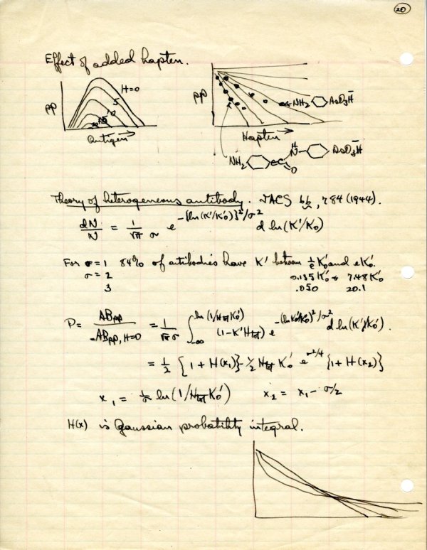 "Theory of Serological Precipitation." Page 20. June 1, 1948