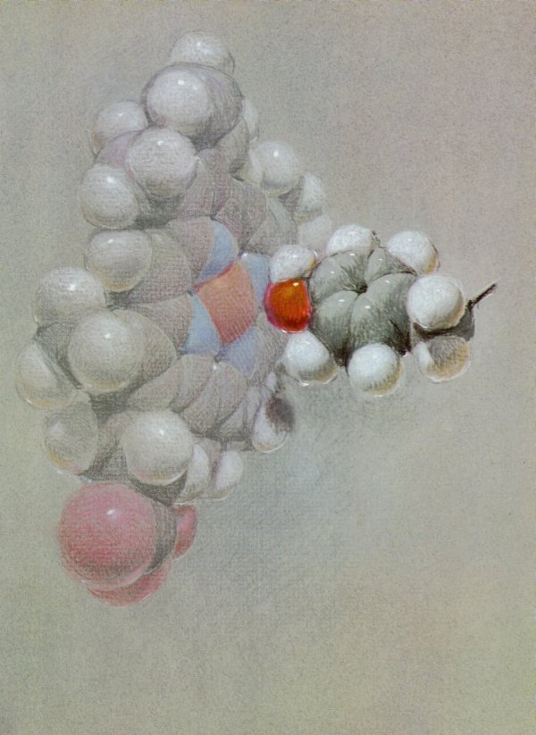 Reproduced pastel drawing of the Hemoglobin structure