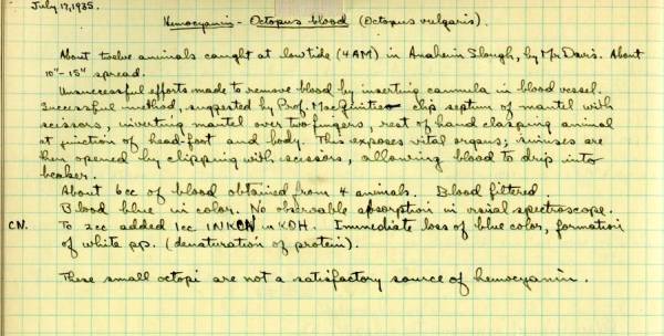 Notes re: Hemocyanin -- octopus blood. Page 54. July 17, 1935