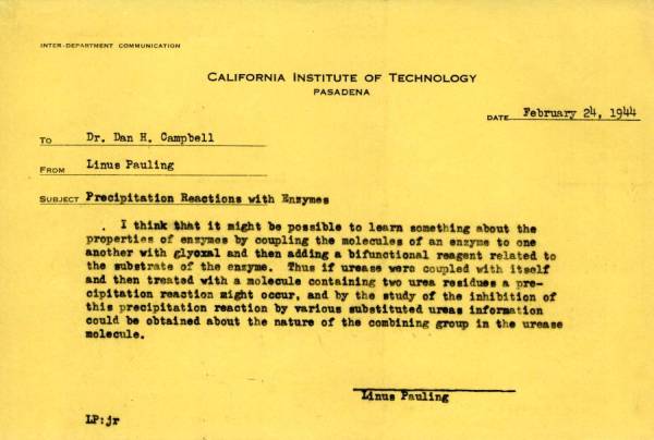 Memorandum from Linus Pauling to Dan H. Campbell. Page 1. February 24, 1944