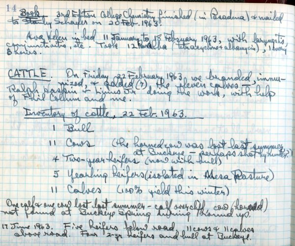 Notes re: 3rd Edition of College Chemistry, Ava Helen Pauling's health, and cattle. Page 1. February 22, 1963