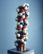 Space-filling model of the alpha-helix.