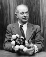 Linus Pauling holding a model of the sulfanilamide molecule.