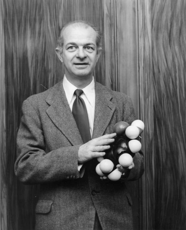 Linus Pauling holding a model of the sulfanilamide molecule.