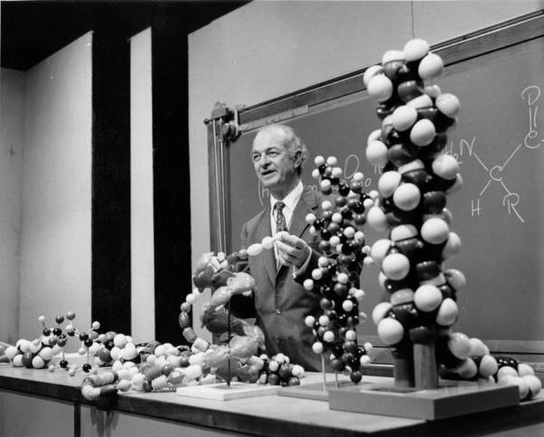 Linus Pauling lecturing amidst several molecular models.