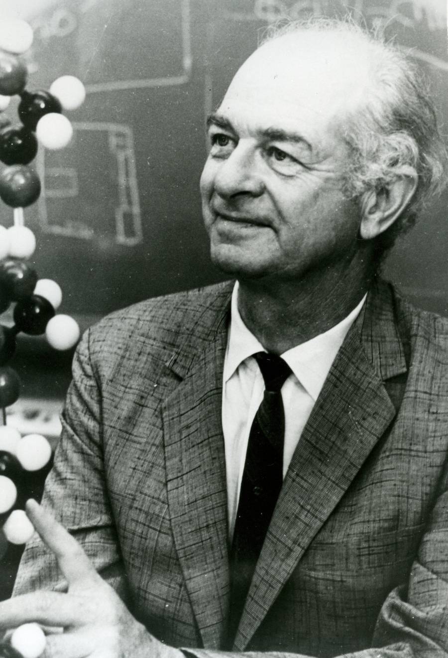 Linus Pauling with a chemical model.