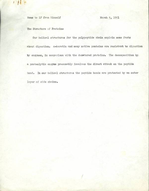 Linus Pauling note to self regarding the structure of proteins. Page 1. March 5, 1951
