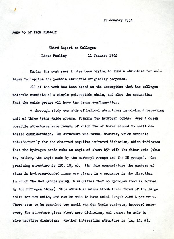 "Third Report on Collagen." Page 1. January 19, 1954