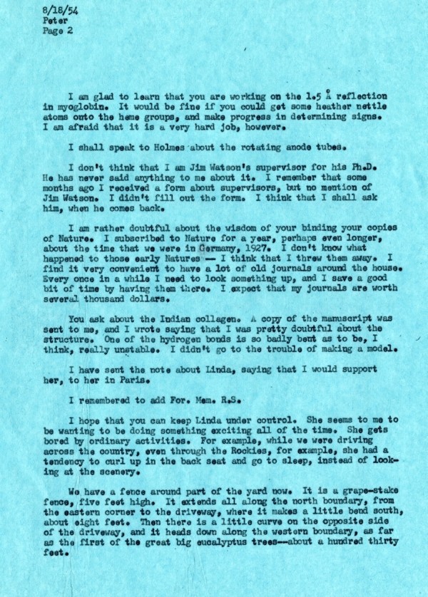 Letter from Linus Pauling to Peter Pauling. Page 2. August 18, 1954