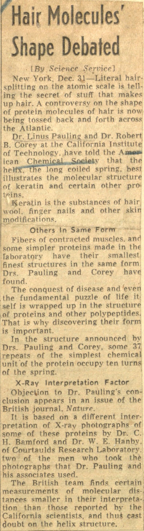 "Hair Molecules' Shape Debated." Page 1. December 30, 1951