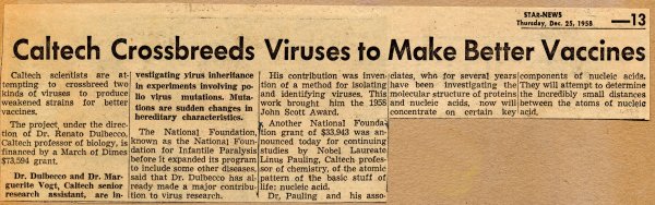 "Caltech Crossbreeds Viruses to Make Better Vaccines." Page 1. December 25, 1958
