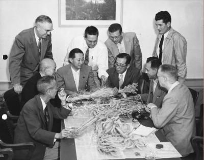 <p>Touring Japanese agriculturalists viewing wheat varieties under development at OSC, 1956. From left: seated: Wanihiko Hasegawa, managing director, Nippon Flour Milling Co.; Akio Maru, executive director, Nishin Flour</p><p>				Milling Co.; Buichi Oishi, vice minister of agriculture and forestry; Nobuo Kuwahara, chief, 2nd operation division food ministry; Ryoichi Sugama, Oregon Wheat Growers league assistant in Japan; and Dr. D. D. Hill, head of</p><p>				Farm Crops at Oregon State College. Standing (left) F. <span class='highlight1 bold'>E.</span> Price, dean and director of agriculture, OSC; Wilson Foote, research agronomist, OSC; Dick Baum, Oregon Wheat Growers league; and Jack Ross, extension farm crops</p><p>				specialist, OSC.</p>
