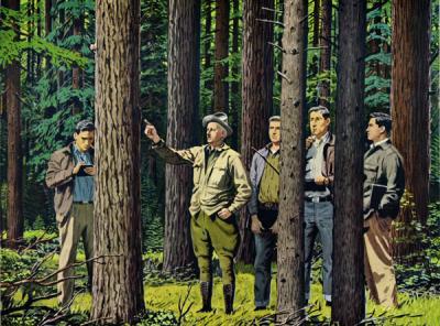 <p>Color reproduction of a painting depicting George Peavy with a group of students, ca. 1955. Painting by Fred Ludekens. The painting <span class='highlight2 bold'>of</span> Peavy, made posthumously by the Weyerhauser Timber Company, was used extensively in</p><p>				advertisements in trade journals and the popular press, including .</p>