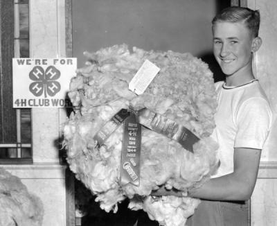 Benton County 4-H Wool Show grand champion, 1944.