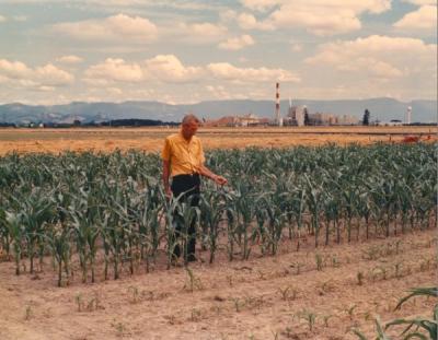 Art King monitoring experiments in a corn field near the Halsey paper mill in Linn County, Oregon, July 1972.
