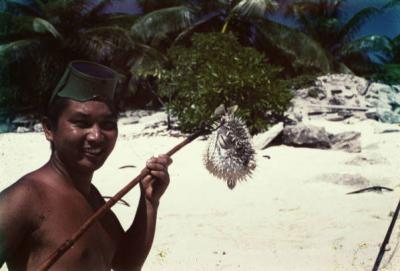 Richard Morita with puffer fish at Bikini Atoll, the Marshall Islands, during Midpac Expedition, 1950.