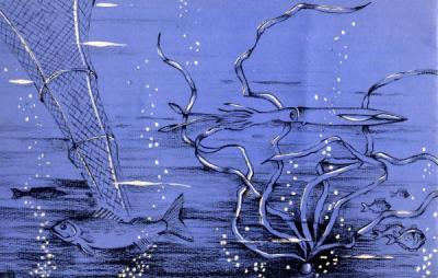 Image from a pamphlet titled "Graduate Study in Oceanography," ca 1960s.