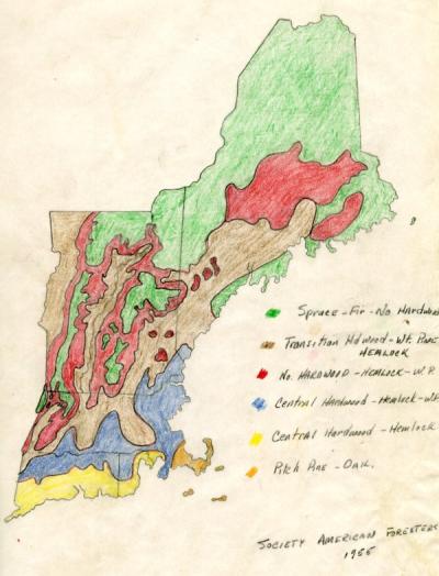 A map of the forests of New England, created by the Society of American Foresters, ca. 1955.