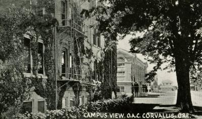 A campus view of Oregon Agricultural College, 1922.