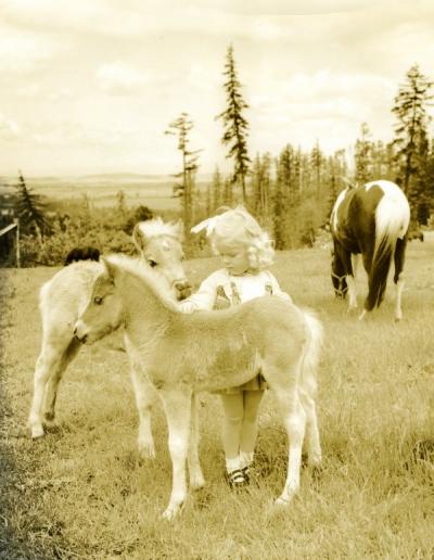 "Cheryl petting two colts." Crystal Springs Ranch, Salem, Oregon, May 1951.