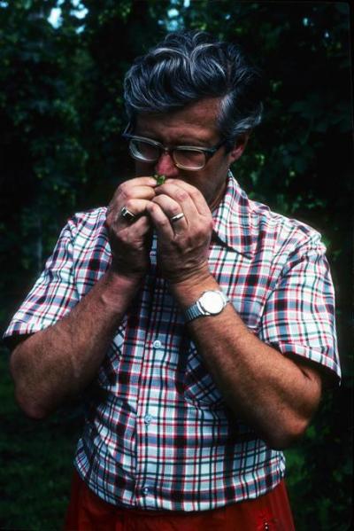 Dr. Alfred Haunold smelling the Cascade hop in a 1980 Public Service Announcement for hops in Oregon. The Cascade hop was released in 1971.