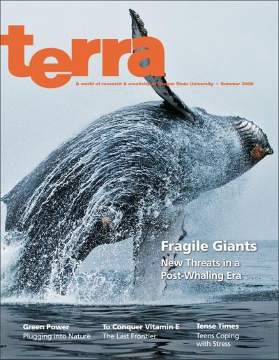 Cover of Summer 2006 issue of Terra