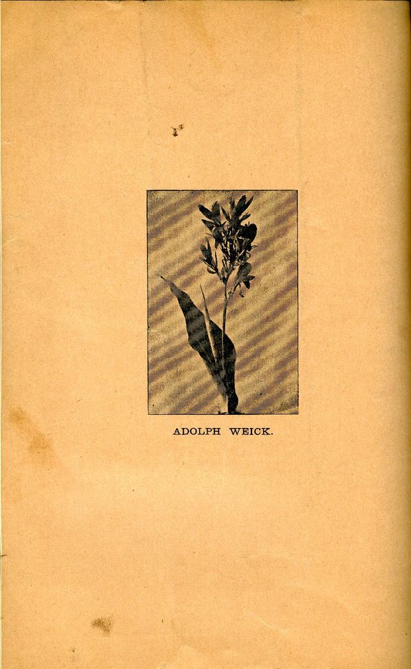 1888.004-backcover.jpg