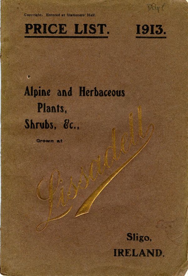 1913.008-cover.jpg