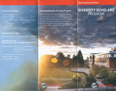 dsp brochure.pdf