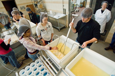 Making Cheese