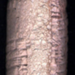 cuneiform1763bc-edge2-large.jpg