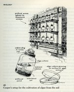 q162.s7-algaecultivation-01-900w.jpg