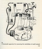 q162.s7-metabolismapparatus-02-900w.jpg