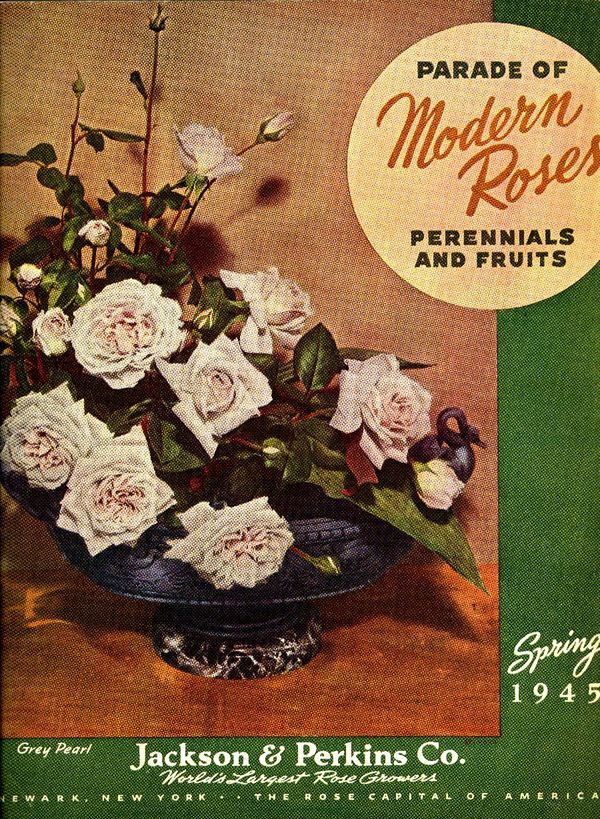 1945.002-cover.jpg