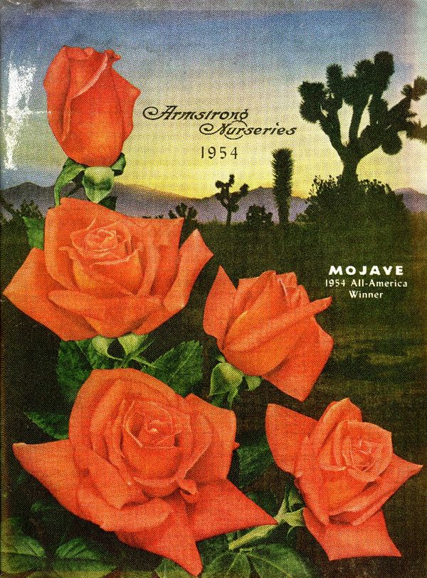 1954.004-cover.jpg