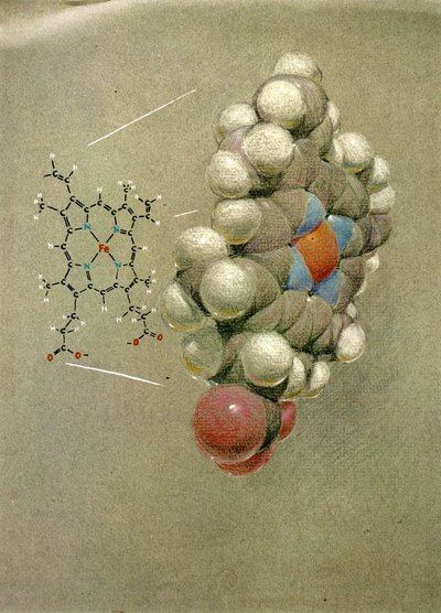 Molecules by Philip Ball