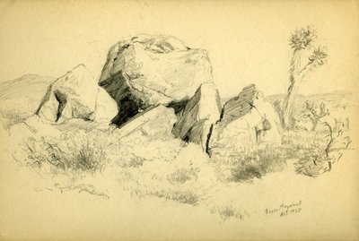 Special Collections & Archives Research Center | Pencil drawing of a