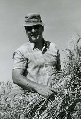 Warren Kronstad Harvesting Barley, 1976
