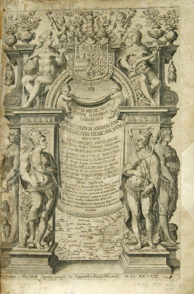 Rerum medicarum Novæ Hispaniæ thesaurus
