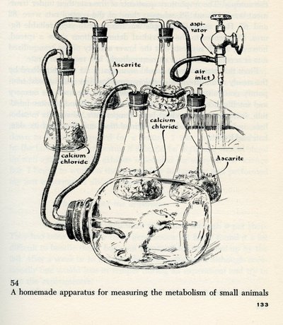 Reproduced illustrations from <em>The Scientific American Book of Projects for the Amateur Scientist</em>, by C. L. Stong.