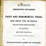 Winships&#039; Descriptive Catalogue of Fruit and Ornamental Trees...etc. Circa 1850s.