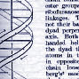 "Molecular Structure of Nucleic Acids," April 1953