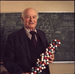 Linus Pauling holding a model of the alpha-helix, 1980s.