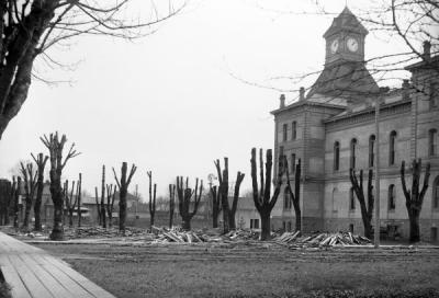 Benton County Courthouse with pruned trees, 1906.
