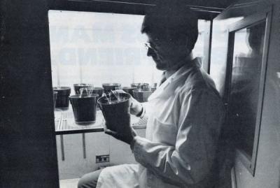 Image from "Oregon Business" captioned: "Gary Jolliff with Meadowfoam plants," March 1983.