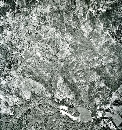 Segment from a Marys Peak Area Aerial Photographs tile.